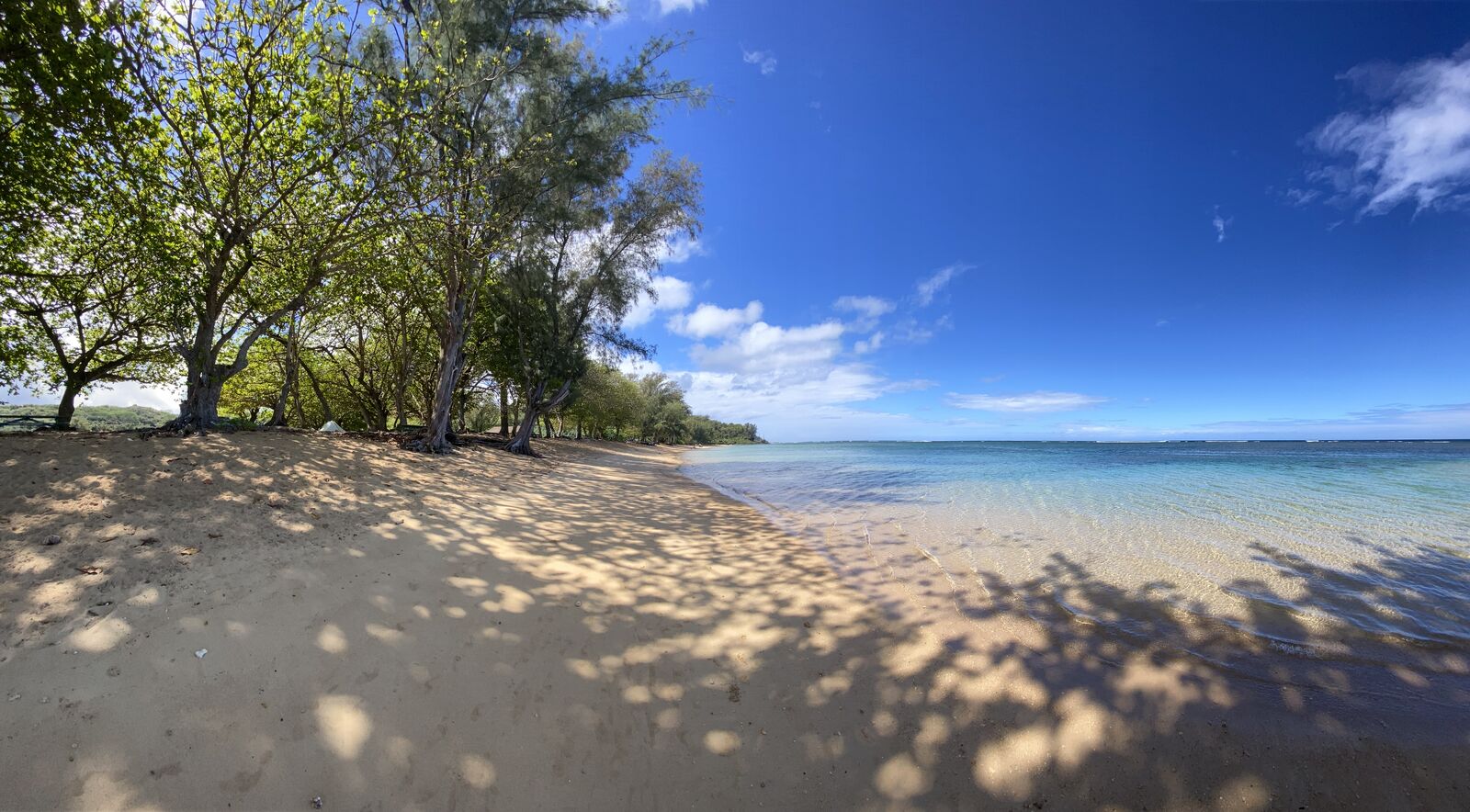 Turquoise reef lagoon under tree shade at Anini